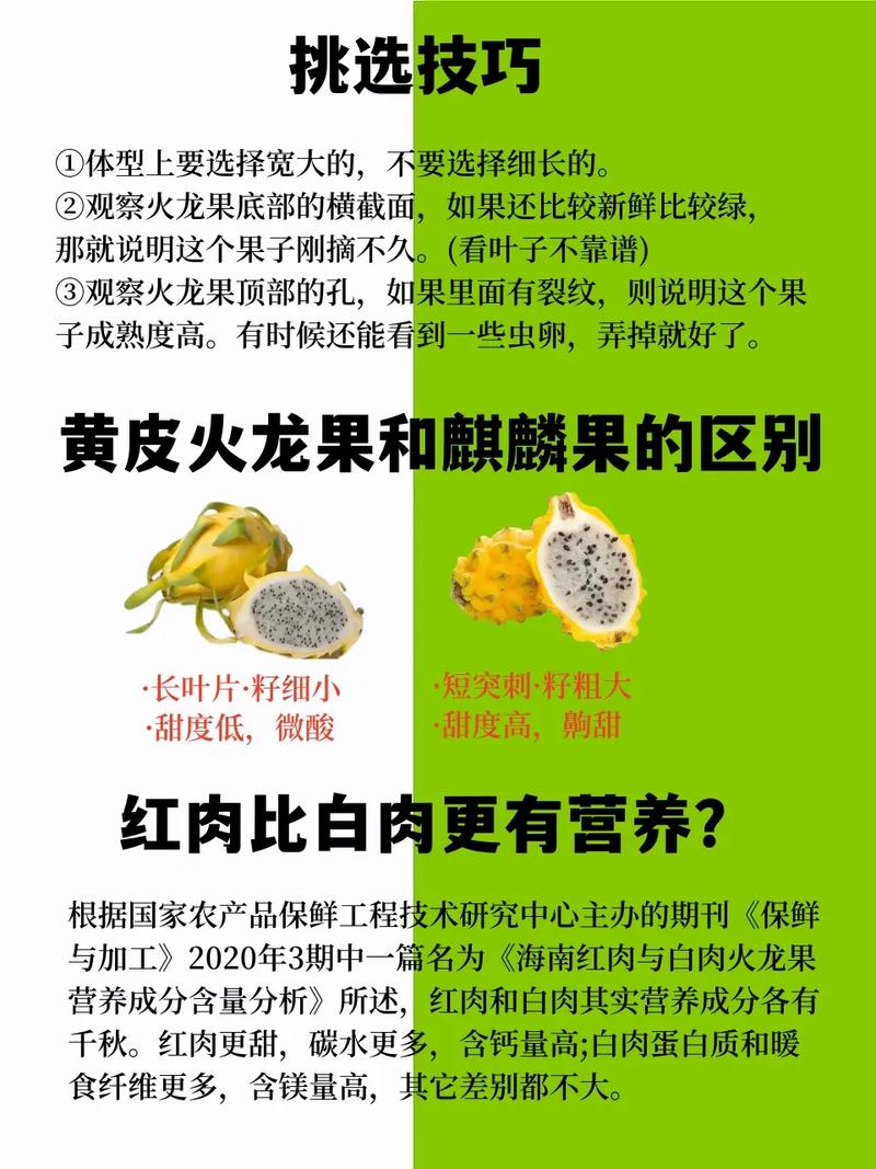 火龙果寓意和象征,火龙果为什么叫神仙果呢。 神马SEO 火龙果寓意和象征,火龙果为什么叫神仙果呢。 火龙果寓意和象征,火龙果为什么叫神仙果呢。 神马SEO