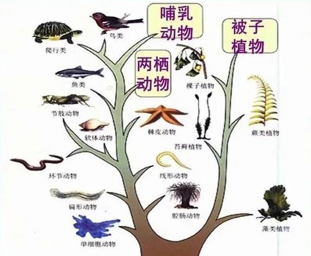 丝瓜seo_迷上生物钟之一植物进化最聪明的机制人类若何改造运用 丝瓜seo_迷上生物钟之一植物进化最聪明的机制人类若何改造运用 搜狗SEO