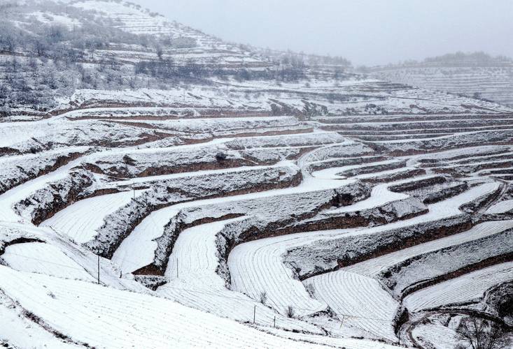 陇西优化seo_甘肃陇西大年夜雪纷飞穷冬提前到来 陇西优化seo_甘肃陇西大年夜雪纷飞穷冬提前到来 搜狗SEO