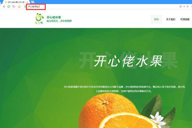红河seo网站_京客网红河特色农业网网址中文域名助云南特色生果互联网发卖 百度SEO 红河seo网站_京客网红河特色农业网网址中文域名助云南特色生果互联网发卖 红河seo网站_京客网红河特色农业网网址中文域名助云南特色生果互联网发卖 百度SEO