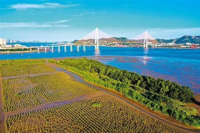 汕头来客seo_以新面貌迎接八方来客|汕头第一门户颜值提升 SEO关键词 汕头来客seo_以新面貌迎接八方来客|汕头第一门户颜值提升 汕头来客seo_以新面貌迎接八方来客|汕头第一门户颜值提升 SEO关键词