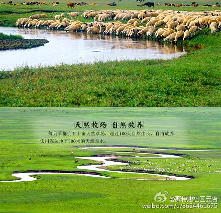 锡盟seo优化_锡盟已经具备电力外送前提 SEO关键词 锡盟seo优化_锡盟已经具备电力外送前提 锡盟seo优化_锡盟已经具备电力外送前提 SEO关键词