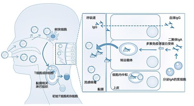 花喷鼻seo咖啡_若何看待自己走红未来有何筹划李子柒这样说 SEO关键词 花喷鼻seo咖啡_若何看待自己走红未来有何筹划李子柒这样说 花喷鼻seo咖啡_若何看待自己走红未来有何筹划李子柒这样说 SEO关键词