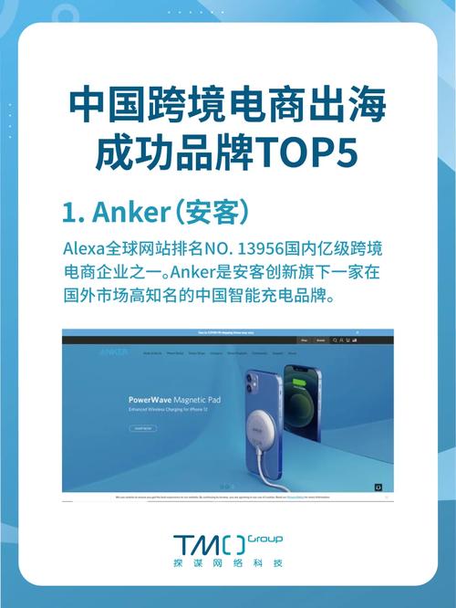 自有平台seo_跨境电商自力站成功的品牌出海案例 网站建设公司 自有平台seo_跨境电商自力站成功的品牌出海案例 自有平台seo_跨境电商自力站成功的品牌出海案例 网站建设公司