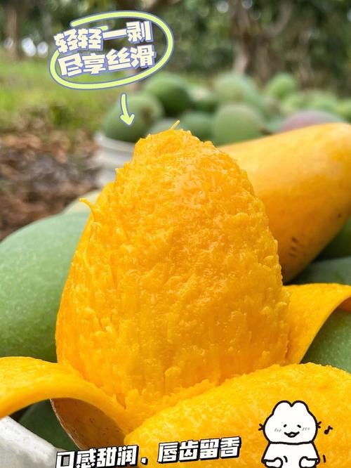 芒果导航seo_芒果导航您的互联网导航之星免费收录网站搜索引擎优化 搜狗SEO 芒果导航seo_芒果导航您的互联网导航之星免费收录网站搜索引擎优化 芒果导航seo_芒果导航您的互联网导航之星免费收录网站搜索引擎优化 搜狗SEO