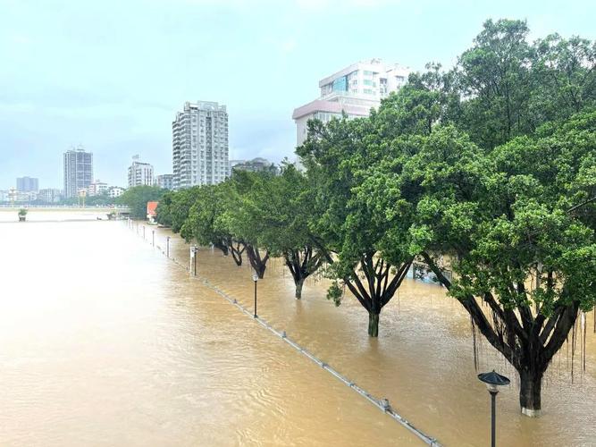 德庆seo优化_高要广宁封开多地出现超警洪水肇庆启动防汛Ⅲ级应急响应 德庆seo优化_高要广宁封开多地出现超警洪水肇庆启动防汛Ⅲ级应急响应 神马SEO