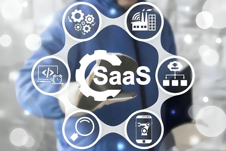 seo生态资本_SaaS 投手玩转 SEO 生态 seo生态资本_SaaS 投手玩转 SEO 生态 必应SEO