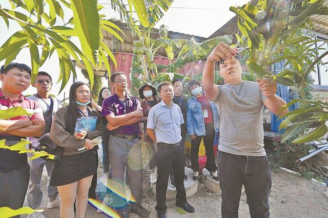 泉港seo价钱_做事征迁泉港电商公益培训 助力村落振兴 必应SEO 泉港seo价钱_做事征迁泉港电商公益培训 助力村落振兴 泉港seo价钱_做事征迁泉港电商公益培训 助力村落振兴 必应SEO