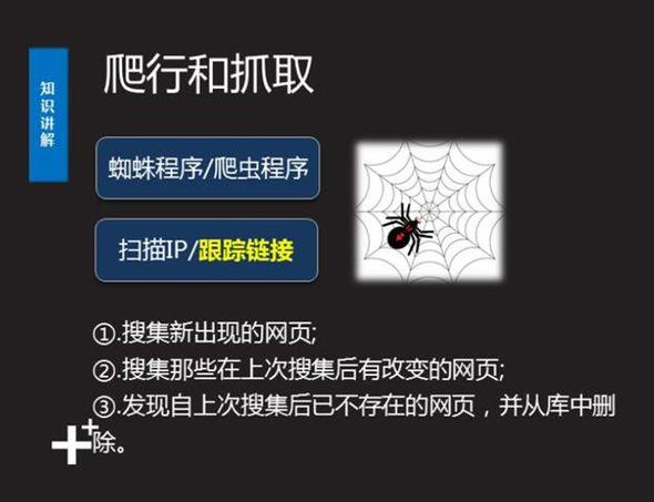 蜘蛛seo霸屏_从业多年的SEO大年夜牛讲述快速吸引蜘蛛爬行网站的技巧 蜘蛛seo霸屏_从业多年的SEO大年夜牛讲述快速吸引蜘蛛爬行网站的技巧 神马SEO