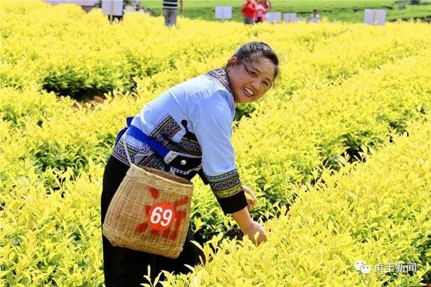贞丰县seo优化_贞丰古城运营策划筹划 百度SEO 贞丰县seo优化_贞丰古城运营策划筹划 贞丰县seo优化_贞丰古城运营策划筹划 百度SEO