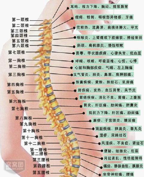 偃师症结词seo_未来的生命形态会是若何的 网站建设公司 偃师症结词seo_未来的生命形态会是若何的 偃师症结词seo_未来的生命形态会是若何的 网站建设公司