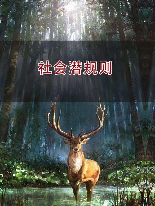 seo潜规矩年夜全_关于Seo的这些潜规则你知道若干 网站建设公司 seo潜规矩年夜全_关于Seo的这些潜规则你知道若干 seo潜规矩年夜全_关于Seo的这些潜规则你知道若干 网站建设公司