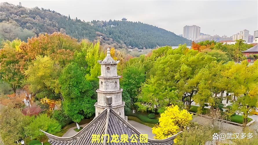 荆门谷歌网站seo开户_播放量超1亿看见新荆彩2023荆楚星主播大年夜赛吸引千名主播参赛 搜狗SEO 荆门谷歌网站seo开户_播放量超1亿看见新荆彩2023荆楚星主播大年夜赛吸引千名主播参赛 荆门谷歌网站seo开户_播放量超1亿看见新荆彩2023荆楚星主播大年夜赛吸引千名主播参赛 搜狗SEO