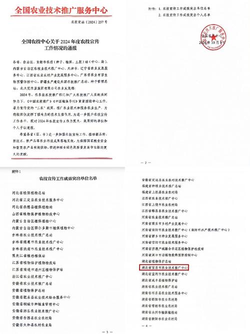 宜昌seo推广排名前十_宜昌这五年牛吗超霸气百句打油诗总结 宜昌seo推广排名前十_宜昌这五年牛吗超霸气百句打油诗总结 必应SEO