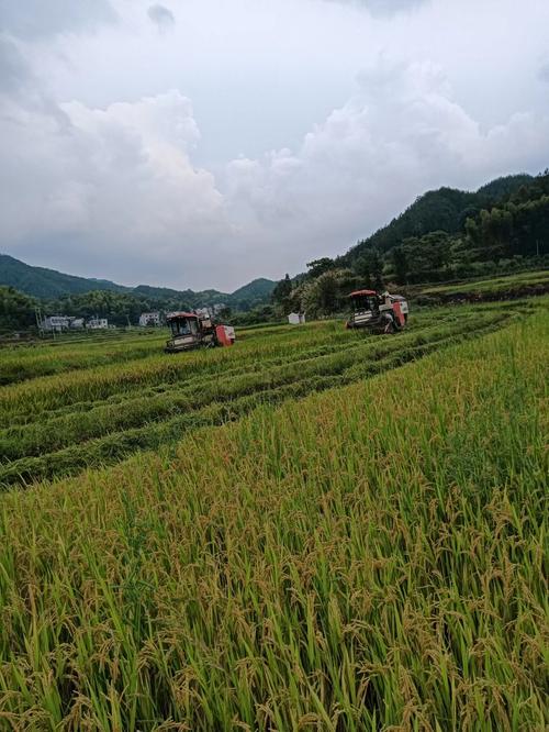 沿河百度seo优化公司_贵州铜仁沿河19镇德江10镇的变迁人口地皮工业基本统计 神马SEO 沿河百度seo优化公司_贵州铜仁沿河19镇德江10镇的变迁人口地皮工业基本统计 沿河百度seo优化公司_贵州铜仁沿河19镇德江10镇的变迁人口地皮工业基本统计 神马SEO