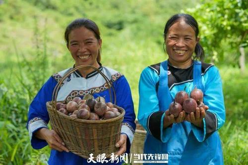 望谟百度seo优化价钱_一个国贫县的教诲逆袭贵州省黔西南州望谟县教诲质量提升之路 搜狗SEO 望谟百度seo优化价钱_一个国贫县的教诲逆袭贵州省黔西南州望谟县教诲质量提升之路 望谟百度seo优化价钱_一个国贫县的教诲逆袭贵州省黔西南州望谟县教诲质量提升之路 搜狗SEO