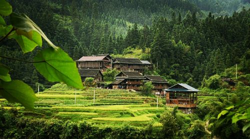 丹寨百度seo优化价钱_黔东南州从江麻江丹寨雷山4县38乡镇3年的变迁 丹寨百度seo优化价钱_黔东南州从江麻江丹寨雷山4县38乡镇3年的变迁 必应SEO