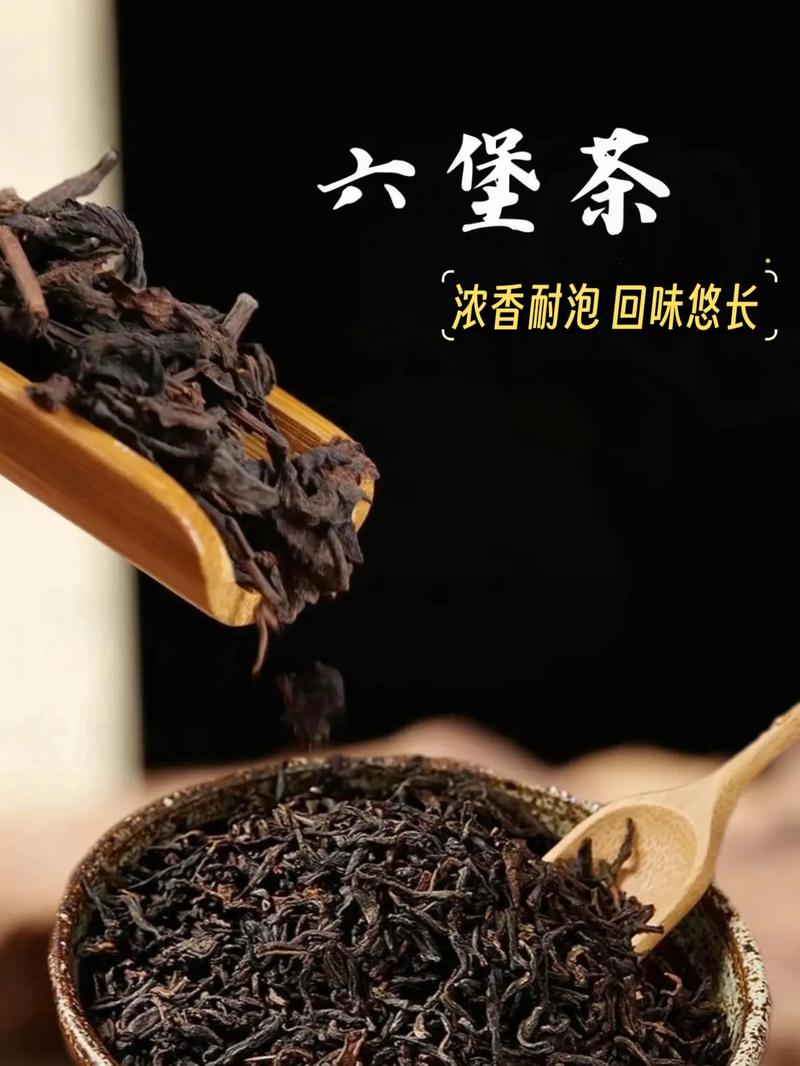 梧州市慧抖销seo优化_广西梧州大年夜山深处飞出茶凤凰千年六堡茶成致富黄金叶 梧州市慧抖销seo优化_广西梧州大年夜山深处飞出茶凤凰千年六堡茶成致富黄金叶 百度SEO