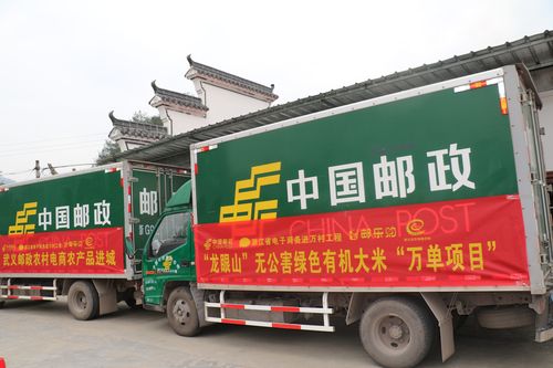 谷歌seo推广公司武义县_聚焦跨境电商新业态 武义积极探索5G时代外贸成长新路径 谷歌seo推广公司武义县_聚焦跨境电商新业态 武义积极探索5G时代外贸成长新路径 必应SEO