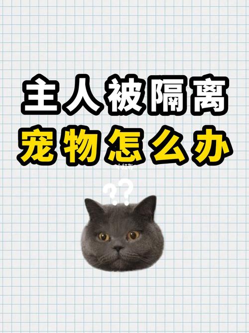 全球宠物网小队seo排名_主人被隔离宠物怎么办不合国家不合方法 全球宠物网小队seo排名_主人被隔离宠物怎么办不合国家不合方法 百度SEO