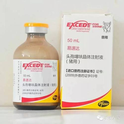 外贸推广seo选举易速达_外贸软件客速达报价神器业绩飙升不是梦 外贸推广seo选举易速达_外贸软件客速达报价神器业绩飙升不是梦 神马SEO