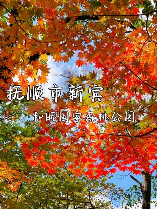 抚顺短视频seo软件排名_抚顺新景致辽宁琢一 神马SEO 抚顺短视频seo软件排名_抚顺新景致辽宁琢一 抚顺短视频seo软件排名_抚顺新景致辽宁琢一 神马SEO