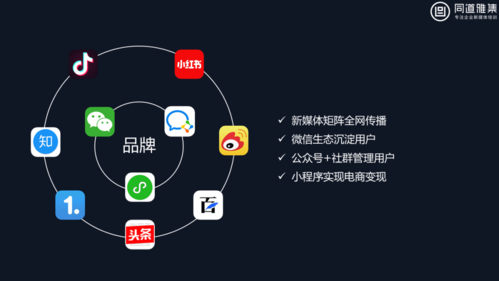 萍乡seo公司要找2火星_5个姑娘求新媒体运营工作10家企业招新媒体岗位 网站建设公司 萍乡seo公司要找2火星_5个姑娘求新媒体运营工作10家企业招新媒体岗位 萍乡seo公司要找2火星_5个姑娘求新媒体运营工作10家企业招新媒体岗位 网站建设公司