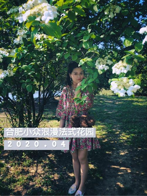 风筝法式泛目次宇梦seo_油菜花海 搜狗SEO 风筝法式泛目次宇梦seo_油菜花海 风筝法式泛目次宇梦seo_油菜花海 搜狗SEO