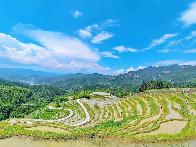 遂川县网站seo优化排名_遂川新盛旅游智旅生活圈重塑不雅光疆土引领未来风尚 必应SEO 遂川县网站seo优化排名_遂川新盛旅游智旅生活圈重塑不雅光疆土引领未来风尚 遂川县网站seo优化排名_遂川新盛旅游智旅生活圈重塑不雅光疆土引领未来风尚 必应SEO