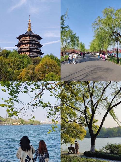 杭州seo培训费用是若干_杭州收集营销培训价格费用若干钱 必应SEO 杭州seo培训费用是若干_杭州收集营销培训价格费用若干钱 杭州seo培训费用是若干_杭州收集营销培训价格费用若干钱 必应SEO