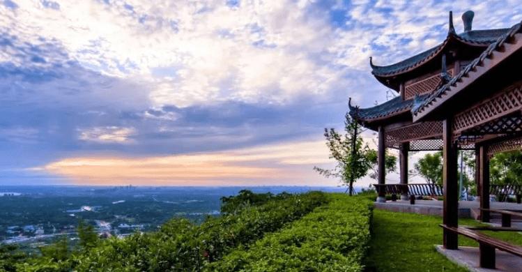 龙泉驿区做外贸seo咨询_丽水龙泉91家外贸企业灾害中成长 龙泉驿区做外贸seo咨询_丽水龙泉91家外贸企业灾害中成长 神马SEO