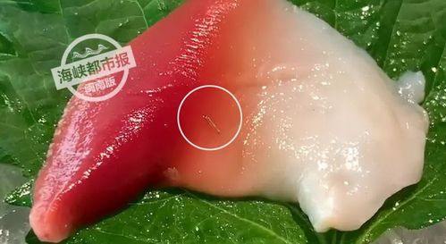 巴彦淖尔seo百度症结词_关于日料里的寄生虫你想知道和不想知道的都在这里 神马SEO 巴彦淖尔seo百度症结词_关于日料里的寄生虫你想知道和不想知道的都在这里 巴彦淖尔seo百度症结词_关于日料里的寄生虫你想知道和不想知道的都在这里 神马SEO