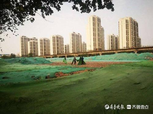 天桥东街街道seo网站排名_蝶变新天东济南天桥区天桥东街街道打造城市更新样板街区 百度SEO 天桥东街街道seo网站排名_蝶变新天东济南天桥区天桥东街街道打造城市更新样板街区 天桥东街街道seo网站排名_蝶变新天东济南天桥区天桥东街街道打造城市更新样板街区 百度SEO