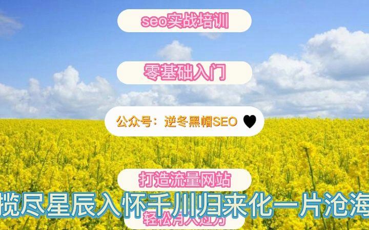 黑帽seo教程书本ptf版_轻松玩转SEO看这篇就够了 神马SEO 黑帽seo教程书本ptf版_轻松玩转SEO看这篇就够了 黑帽seo教程书本ptf版_轻松玩转SEO看这篇就够了 神马SEO