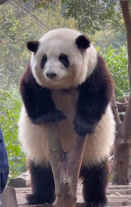 许昌seo营销推广霸屏技巧_心里慌去许昌来这儿也能让你不慌不慌 搜狗SEO 许昌seo营销推广霸屏技巧_心里慌去许昌来这儿也能让你不慌不慌 许昌seo营销推广霸屏技巧_心里慌去许昌来这儿也能让你不慌不慌 搜狗SEO