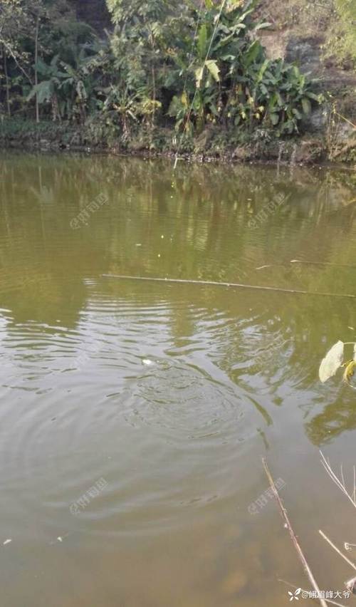 鱼峰区症结词seo排名优化_聚焦主导家当 加快培植三大年夜百亿级家当集群柳州市鱼峰区全力造就壮大成长新动能 神马SEO 鱼峰区症结词seo排名优化_聚焦主导家当 加快培植三大年夜百亿级家当集群柳州市鱼峰区全力造就壮大成长新动能 鱼峰区症结词seo排名优化_聚焦主导家当 加快培植三大年夜百亿级家当集群柳州市鱼峰区全力造就壮大成长新动能 神马SEO