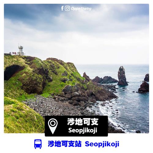 济源seo症结词排名哪家好_济州岛的美都藏在这些小店里 百度SEO 济源seo症结词排名哪家好_济州岛的美都藏在这些小店里 济源seo症结词排名哪家好_济州岛的美都藏在这些小店里 百度SEO