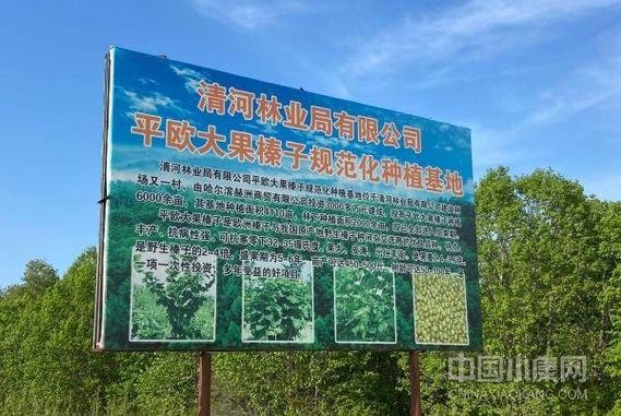 通河县症结词seo排名优化_通河县多措并举持续优化营商情形 百度SEO 通河县症结词seo排名优化_通河县多措并举持续优化营商情形 通河县症结词seo排名优化_通河县多措并举持续优化营商情形 百度SEO