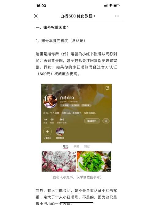 seo外包技院苏2峰18h_小红书双11有戏吗怎么做 百度SEO seo外包技院苏2峰18h_小红书双11有戏吗怎么做 seo外包技院苏2峰18h_小红书双11有戏吗怎么做 百度SEO