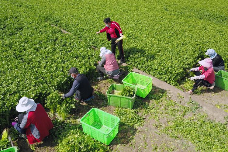 平利县症结词seo排名优化_平利县优化创业情形带动群众致富增收 搜狗SEO 平利县症结词seo排名优化_平利县优化创业情形带动群众致富增收 平利县症结词seo排名优化_平利县优化创业情形带动群众致富增收 搜狗SEO