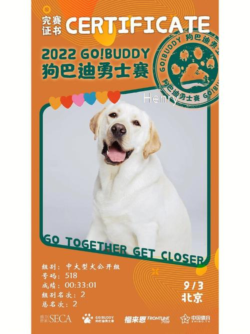 buddy巴迪品牌seo剖析_狗巴迪勇士赛两周年千亿宠物狗市场背后有这些启示 SEO关键词 buddy巴迪品牌seo剖析_狗巴迪勇士赛两周年千亿宠物狗市场背后有这些启示 buddy巴迪品牌seo剖析_狗巴迪勇士赛两周年千亿宠物狗市场背后有这些启示 SEO关键词