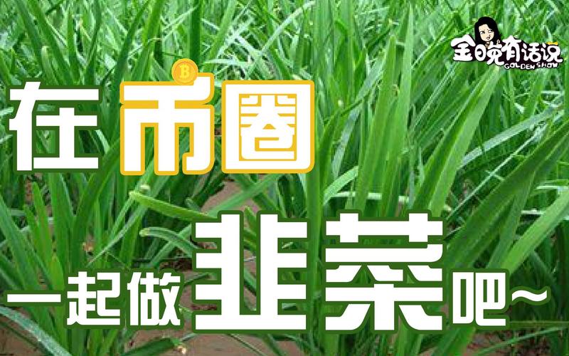 代刷网seo静态页面生成体系_起底虚拟币交易所割韭菜套路 网站建设公司 代刷网seo静态页面生成体系_起底虚拟币交易所割韭菜套路 代刷网seo静态页面生成体系_起底虚拟币交易所割韭菜套路 网站建设公司
