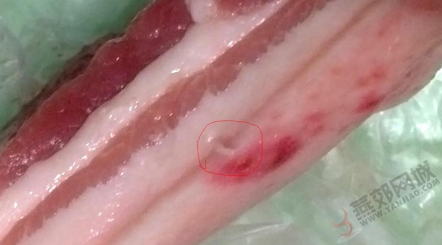 巴彦淖尔seo公司推举23火星_关于日料里的寄生虫你想知道和不想知道的都在这里 百度SEO 巴彦淖尔seo公司推举23火星_关于日料里的寄生虫你想知道和不想知道的都在这里 巴彦淖尔seo公司推举23火星_关于日料里的寄生虫你想知道和不想知道的都在这里 百度SEO