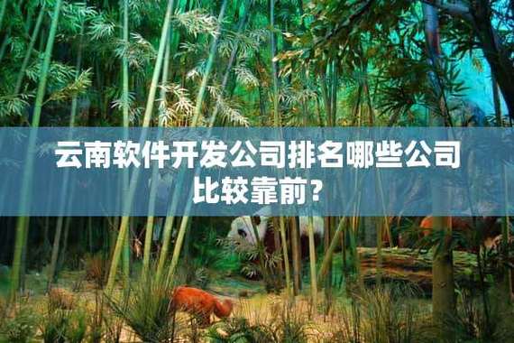 云南好点的软件公司_云南软件开发公司排名56。 网站建设公司 云南好点的软件公司_云南软件开发公司排名56。 云南好点的软件公司_云南软件开发公司排名56。 网站建设公司