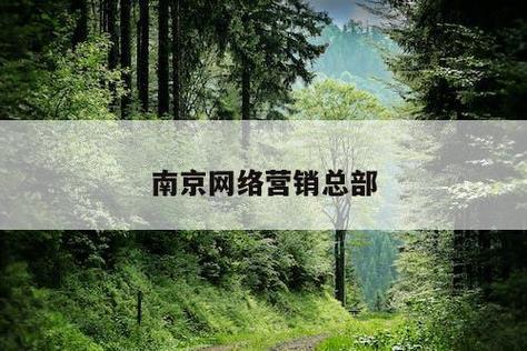 南京网络营销推广公司_南京网络营销公司哪家做的比较好。 网站建设公司 南京网络营销推广公司_南京网络营销公司哪家做的比较好。 南京网络营销推广公司_南京网络营销公司哪家做的比较好。 网站建设公司
