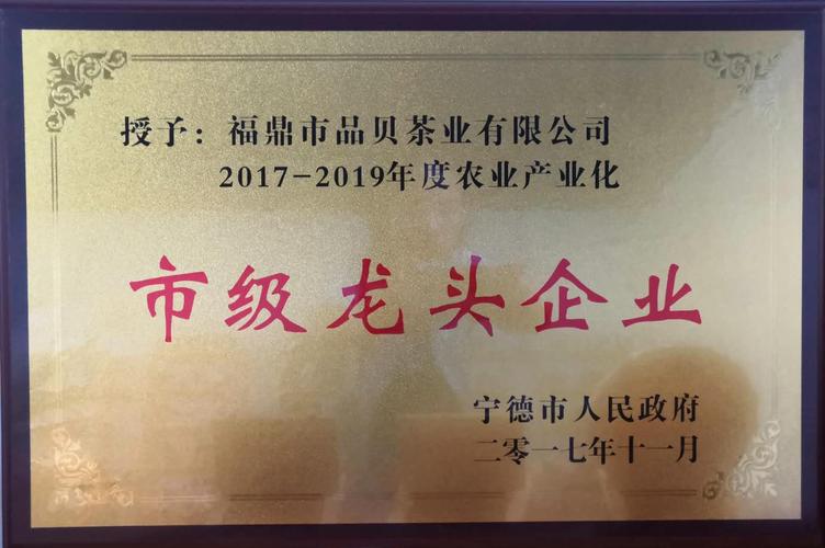 福鼎网站制作公司_福鼎网站制作公司电话。 网站建设公司 福鼎网站制作公司_福鼎网站制作公司电话。 福鼎网站制作公司_福鼎网站制作公司电话。 网站建设公司