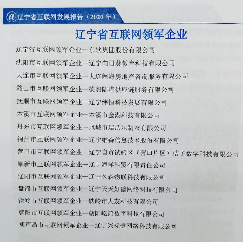 大连互联网公司_大连互联网公司排名。 网站建设公司 大连互联网公司_大连互联网公司排名。 大连互联网公司_大连互联网公司排名。 网站建设公司