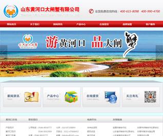 东营本地网站制作公司_东营本地网站制作公司电话。 网站建设公司 东营本地网站制作公司_东营本地网站制作公司电话。 东营本地网站制作公司_东营本地网站制作公司电话。 网站建设公司
