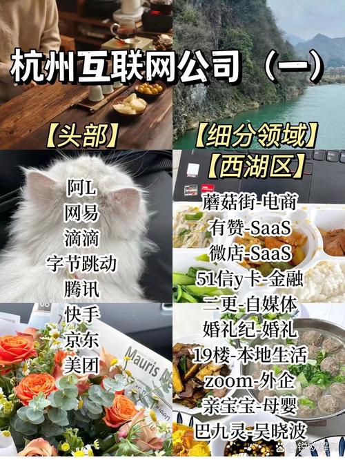 杭州网络公司的简单介绍 网站建设公司 杭州网络公司的简单介绍 杭州网络公司的简单介绍 网站建设公司
