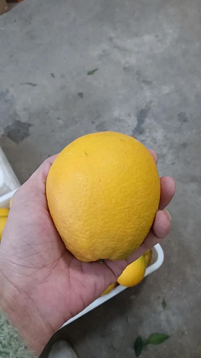 介绍曹欢欢头条算法,如何打造个性化信息推荐系统(曹欢欢头条算法) 网站建设公司 介绍曹欢欢头条算法,如何打造个性化信息推荐系统(曹欢欢头条算法) 介绍曹欢欢头条算法,如何打造个性化信息推荐系统(曹欢欢头条算法) 网站建设公司
